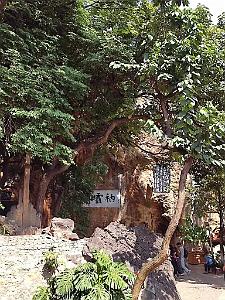 KUNMING - Temple YUANTONG - 46
